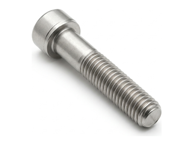 Stainless steel socket head cap screw